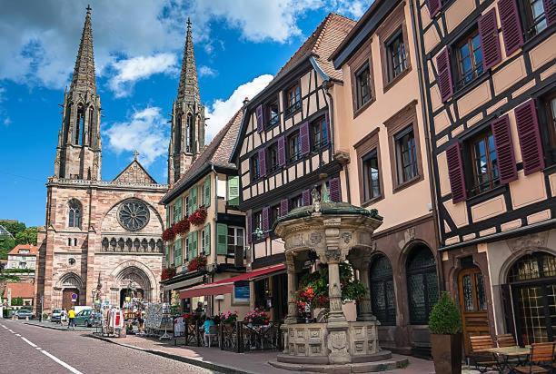 Le Pavillon Des Remparts - Commerces A Proximite - Centre-Ville - Appartement Cosy Obernai Zewnętrze zdjęcie