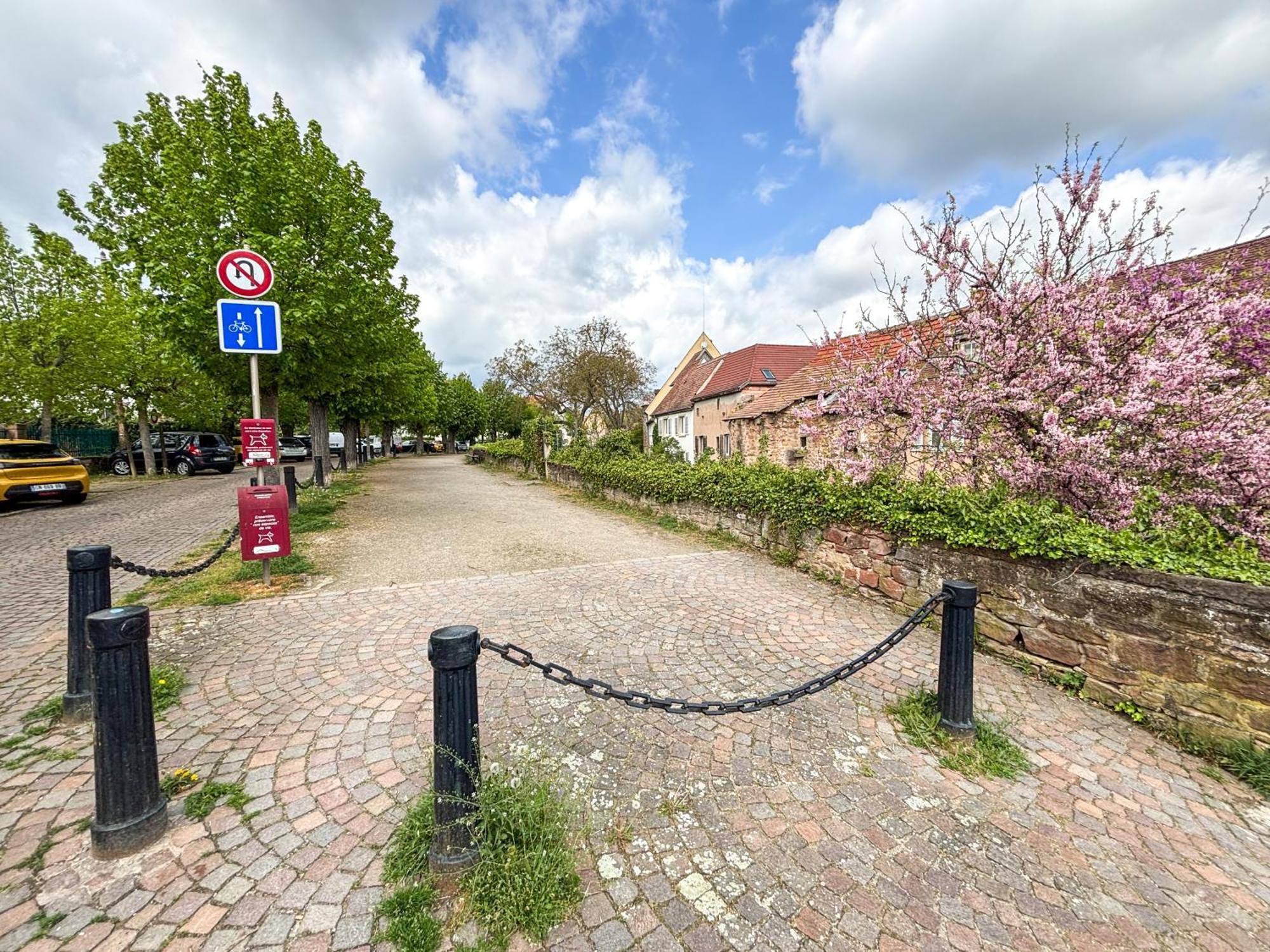 Le Pavillon Des Remparts - Commerces A Proximite - Centre-Ville - Appartement Cosy Obernai Zewnętrze zdjęcie